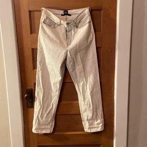 BDG Urban Outfitters Relaxed Straight Jeans Buttonfly